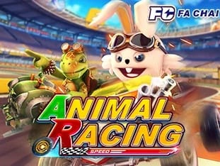 Animal Racing